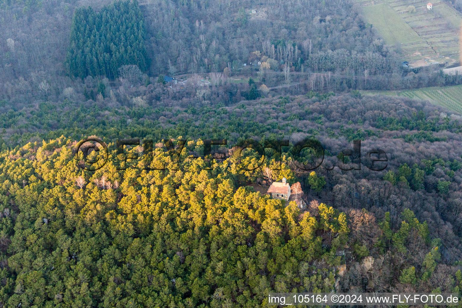 Sankt Martin in the state Rhineland-Palatinate, Germany from the drone perspective