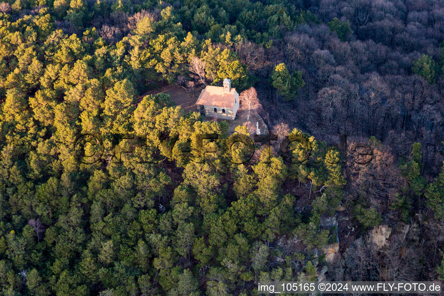 Sankt Martin in the state Rhineland-Palatinate, Germany from a drone