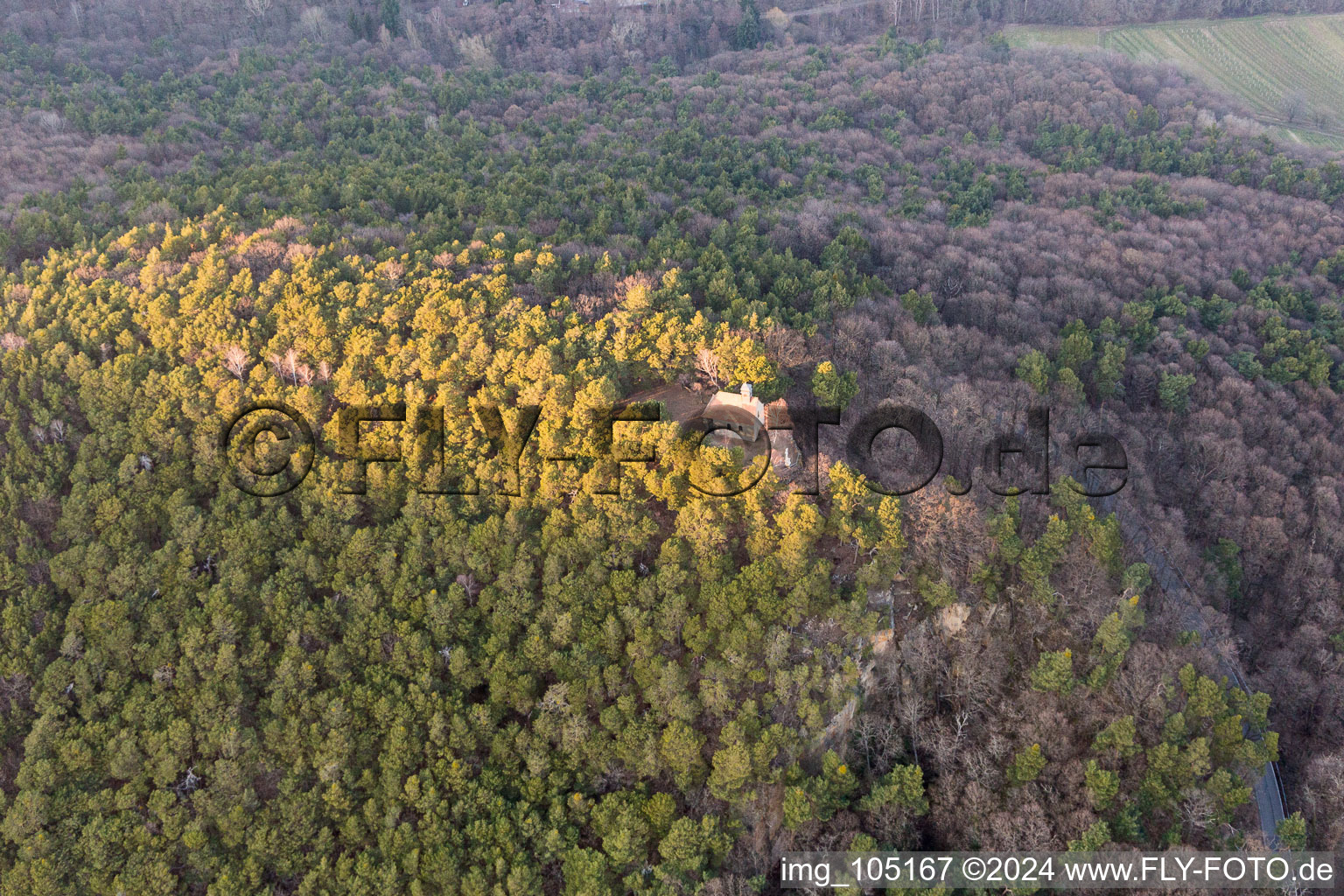 Sankt Martin in the state Rhineland-Palatinate, Germany seen from a drone