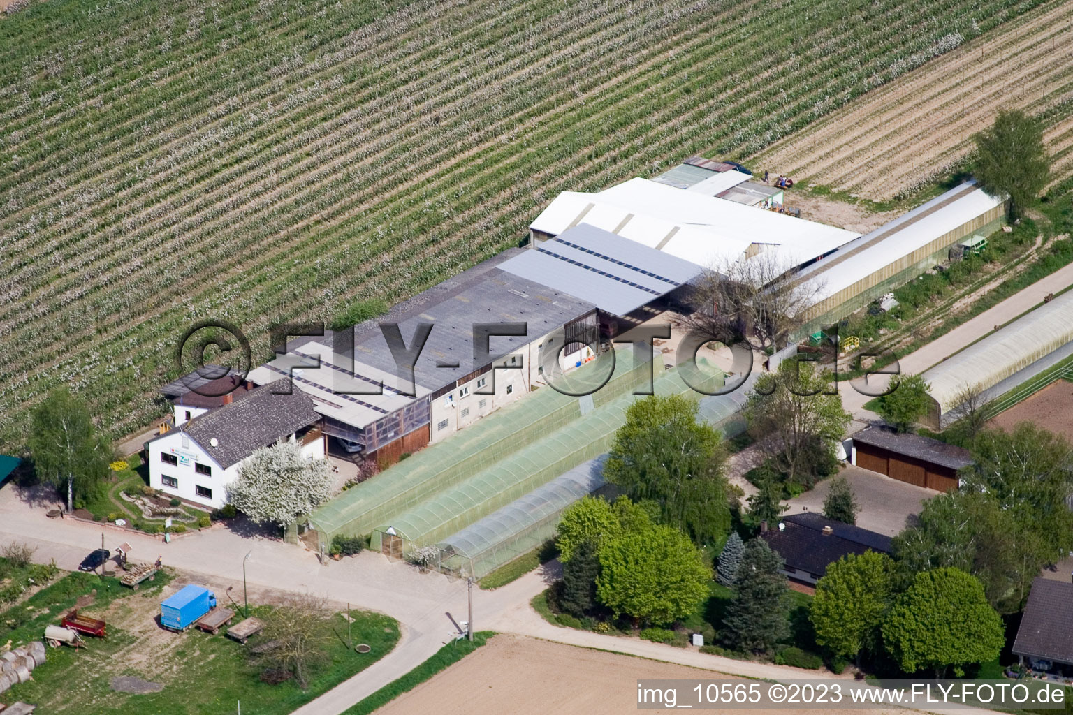 Aerial view of Fruit and vegetable farm Zapf in Kandel in the state Rhineland-Palatinate, Germany