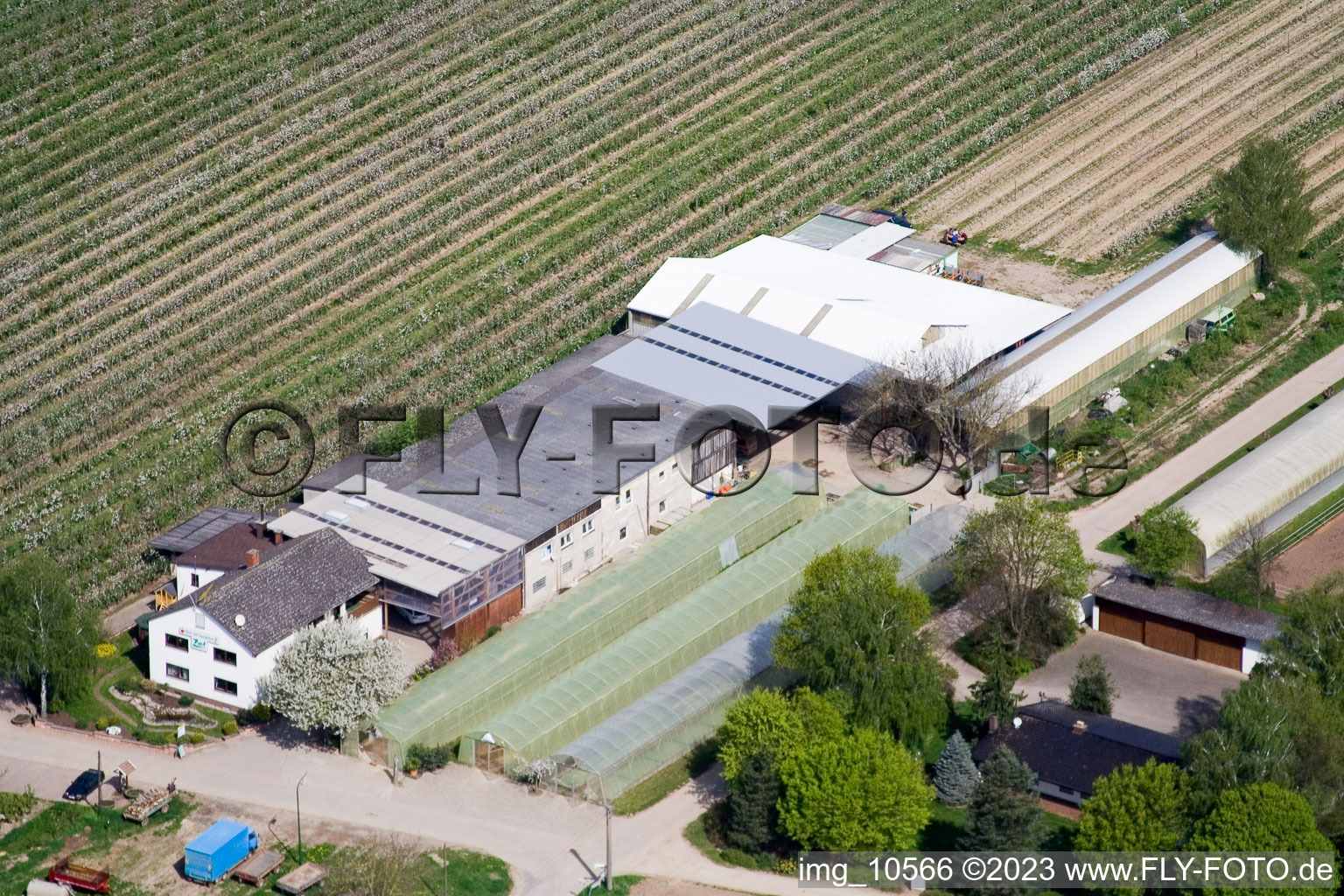 Oblique view of Zapf fruit farm in Kandel in the state Rhineland-Palatinate, Germany