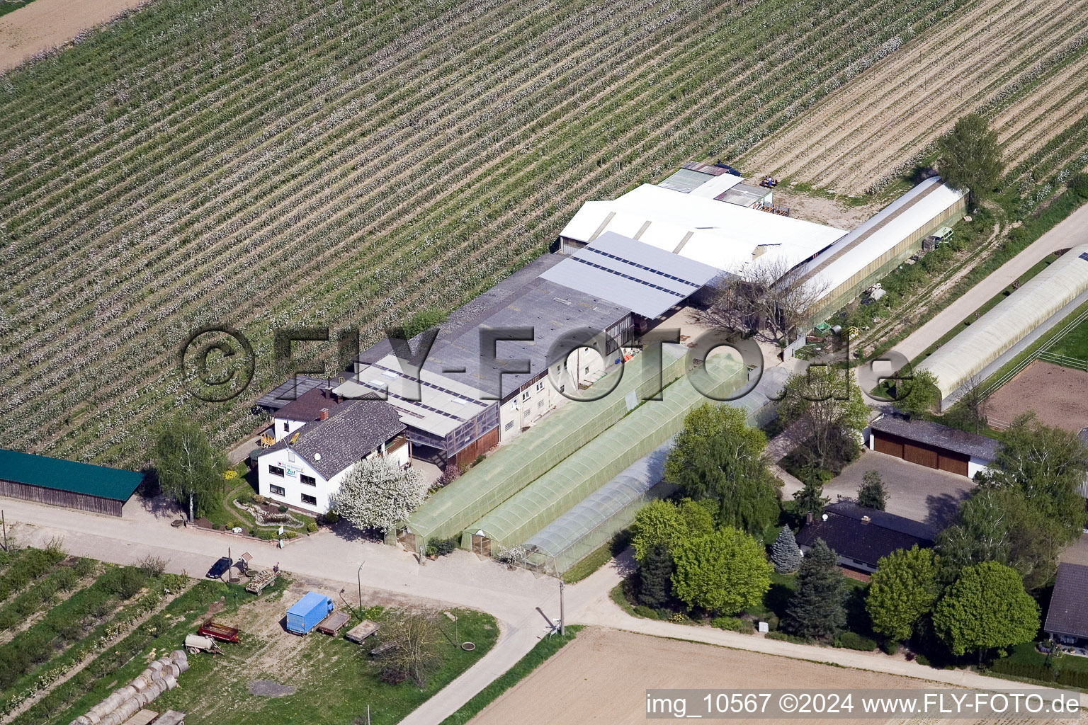 Zapf Fruit Farm in Kandel in the state Rhineland-Palatinate, Germany from above