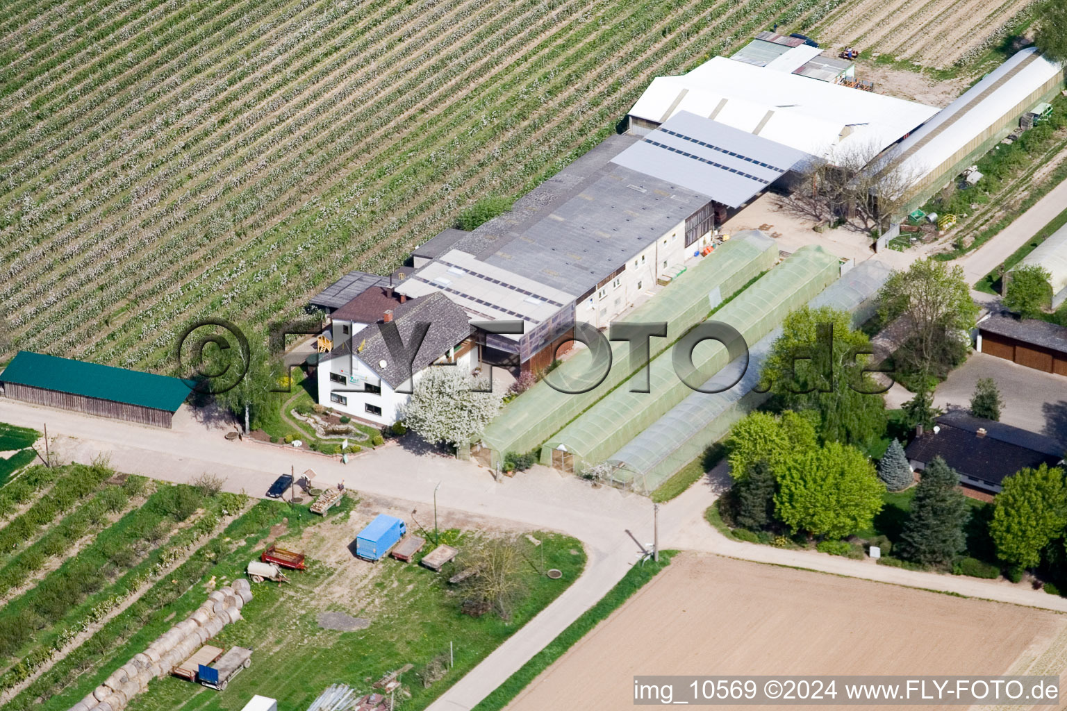 Homestead of a asparagus and fruit farm Zapf with farm market in Kandel in the state Rhineland-Palatinate