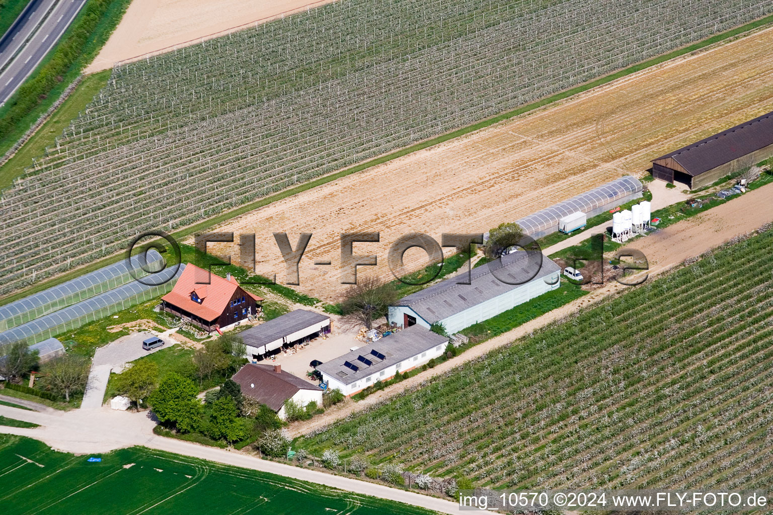 Zapf Fruit Farm in Kandel in the state Rhineland-Palatinate, Germany out of the air