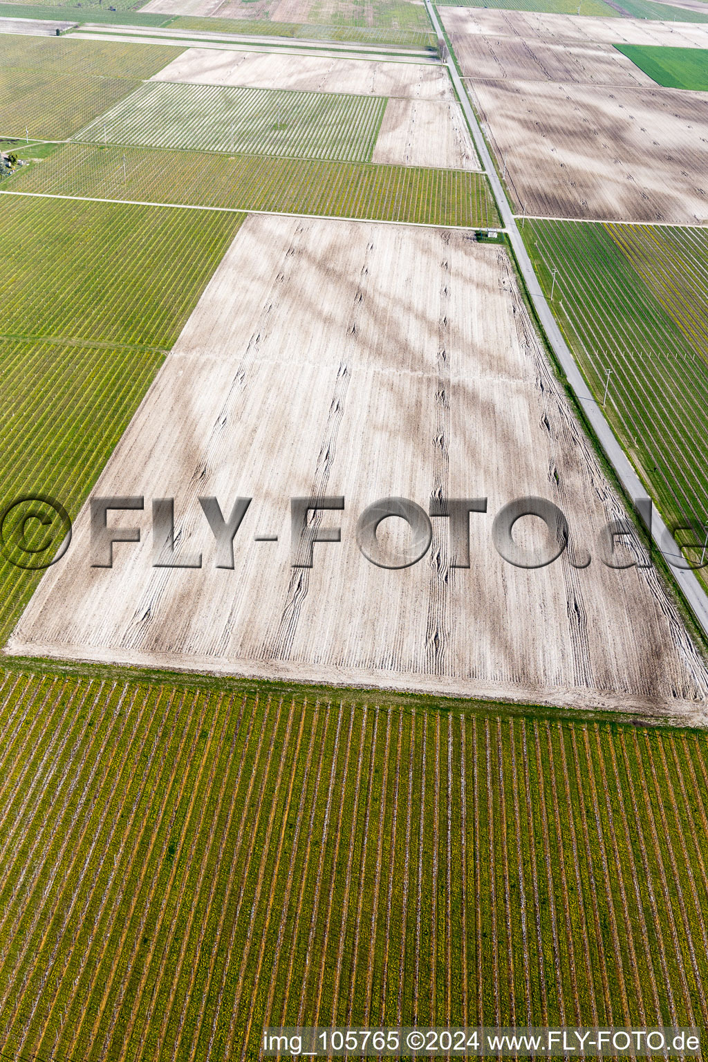 Aerial photograpy of Rauscedo-Domanins in the state Friuli Venezia Giulia, Italy