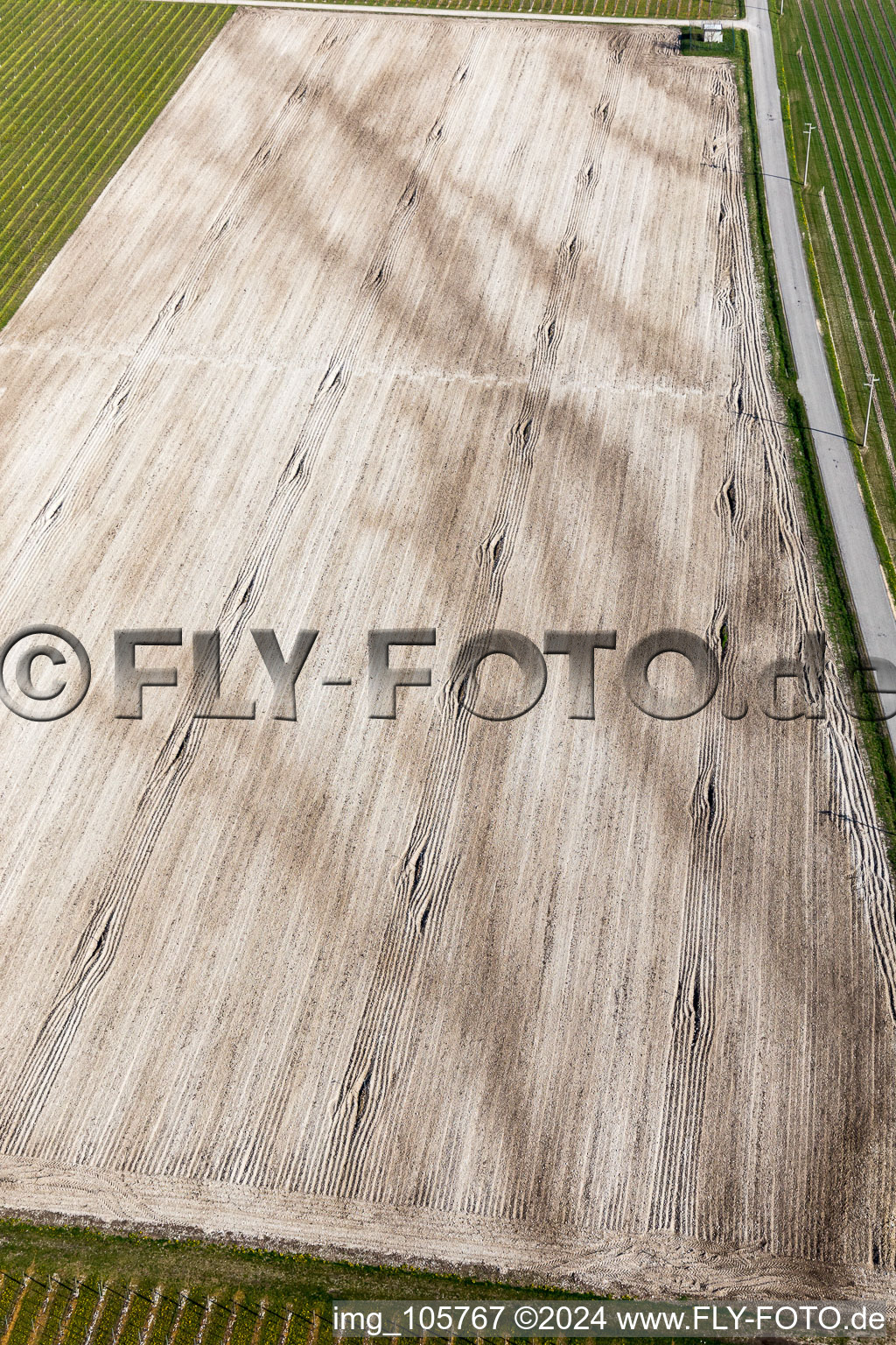 Rauscedo-Domanins in the state Friuli Venezia Giulia, Italy from above