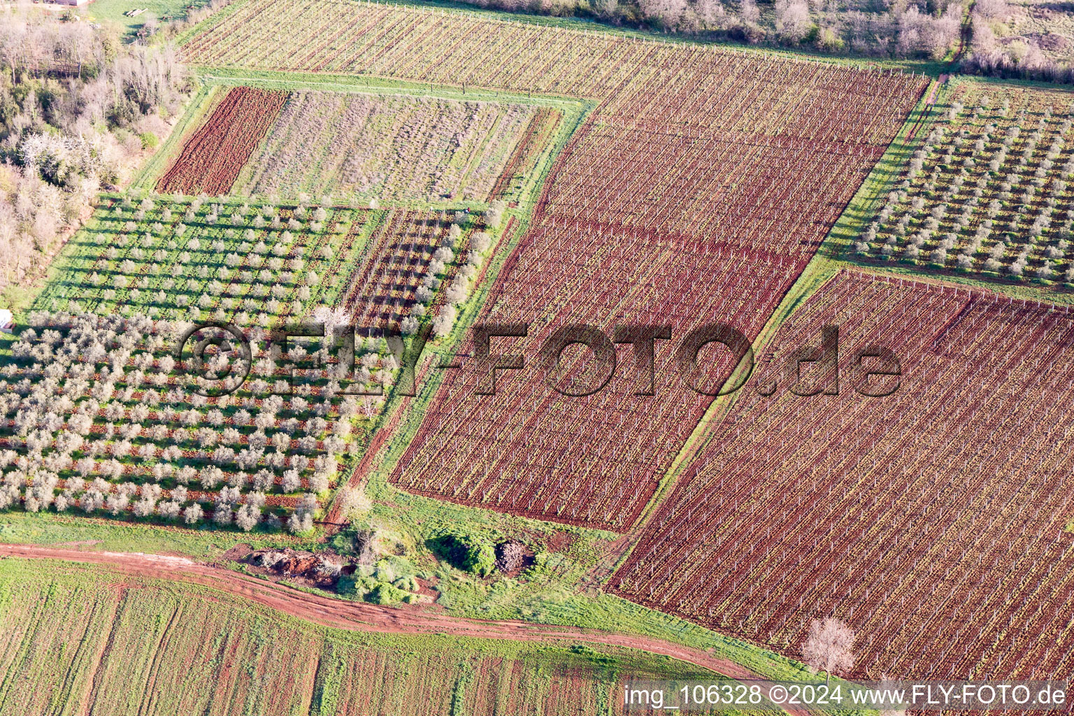 Aerial view of Fuškulin in the state Gespanschaft Istrien, Croatia