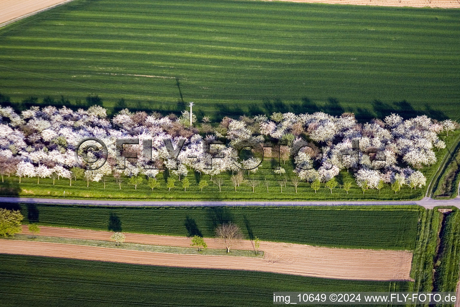 Reimerswiller in the state Bas-Rhin, France from above