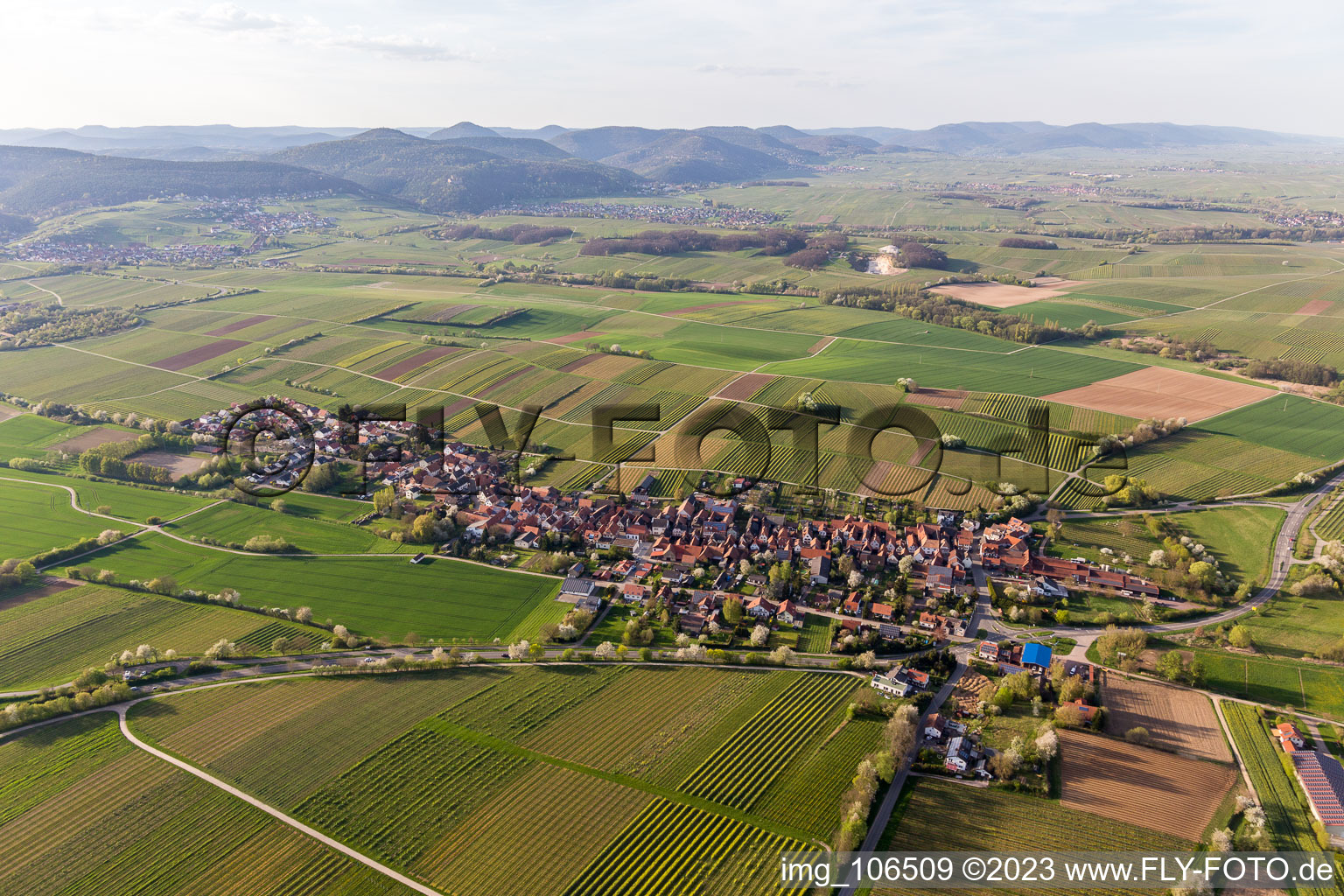 Niederhorbach in the state Rhineland-Palatinate, Germany seen from above
