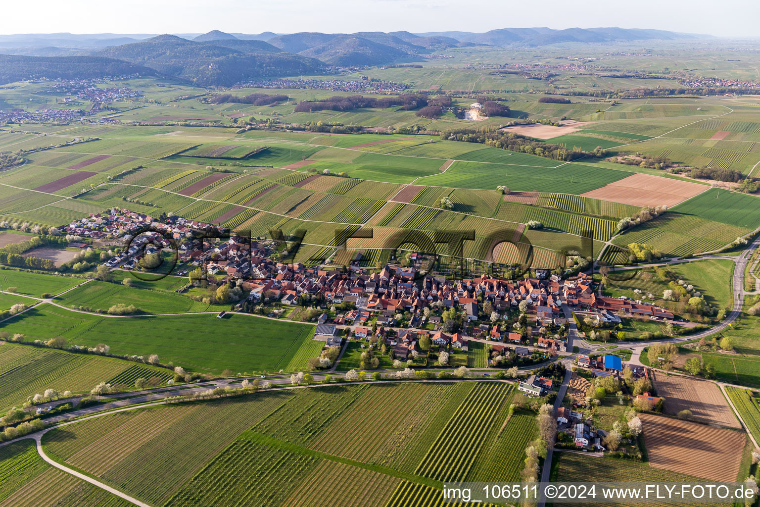 Bird's eye view of Niederhorbach in the state Rhineland-Palatinate, Germany