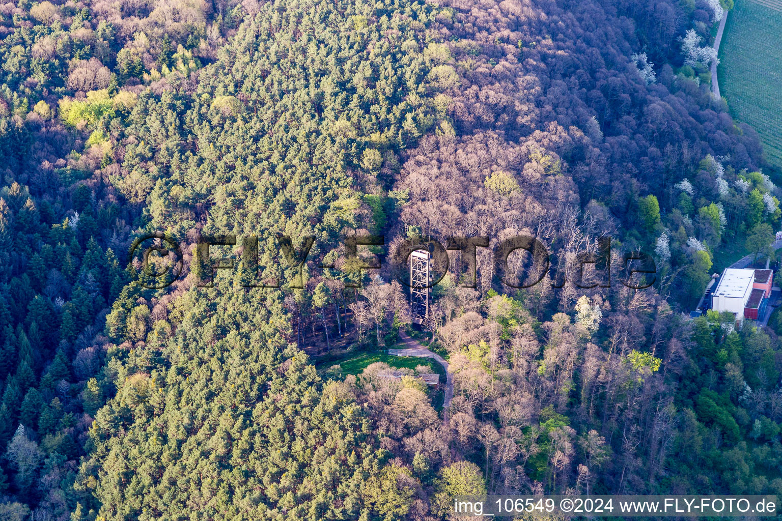 Aerial view of Bismarck Tower in Bad Bergzabern in the state Rhineland-Palatinate, Germany