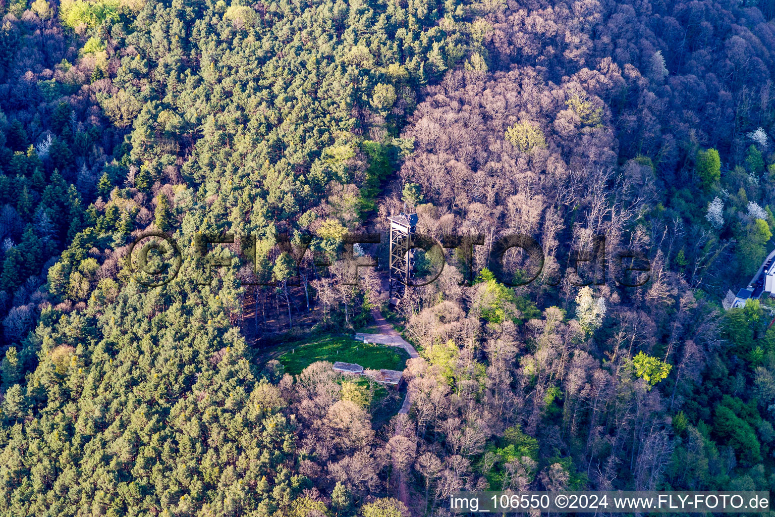 Aerial photograpy of Bismarck Tower in Bad Bergzabern in the state Rhineland-Palatinate, Germany