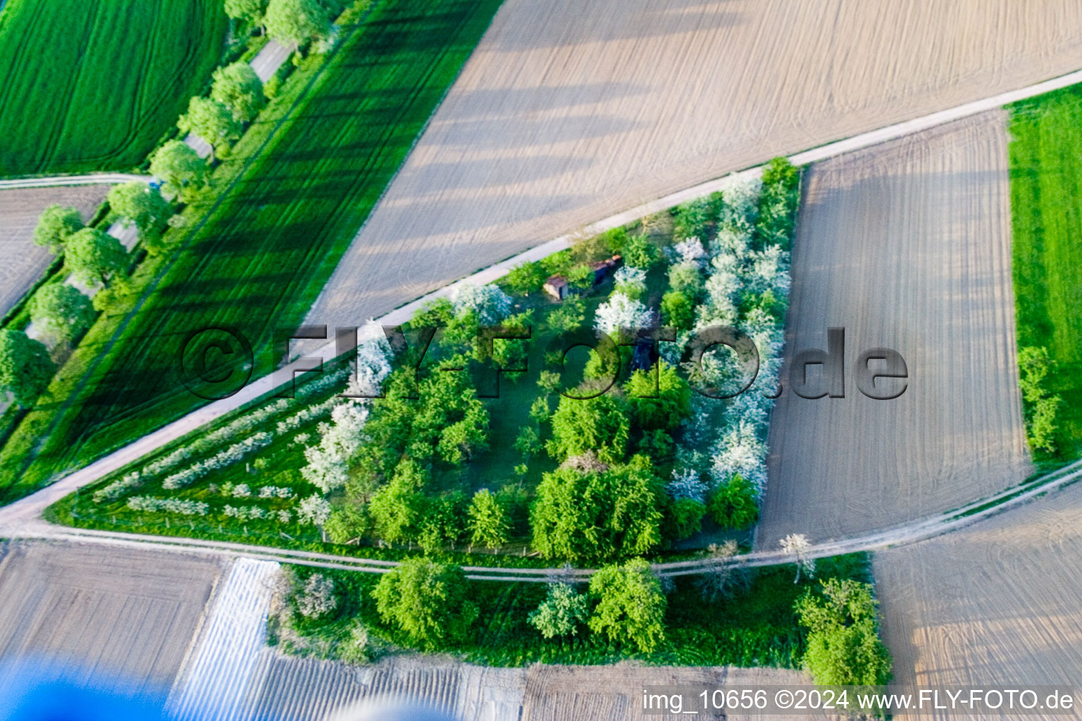 Surbourg in the state Bas-Rhin, France from a drone