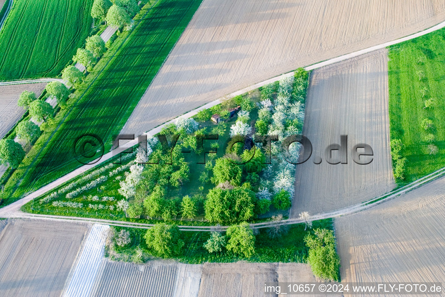 Surbourg in the state Bas-Rhin, France seen from a drone