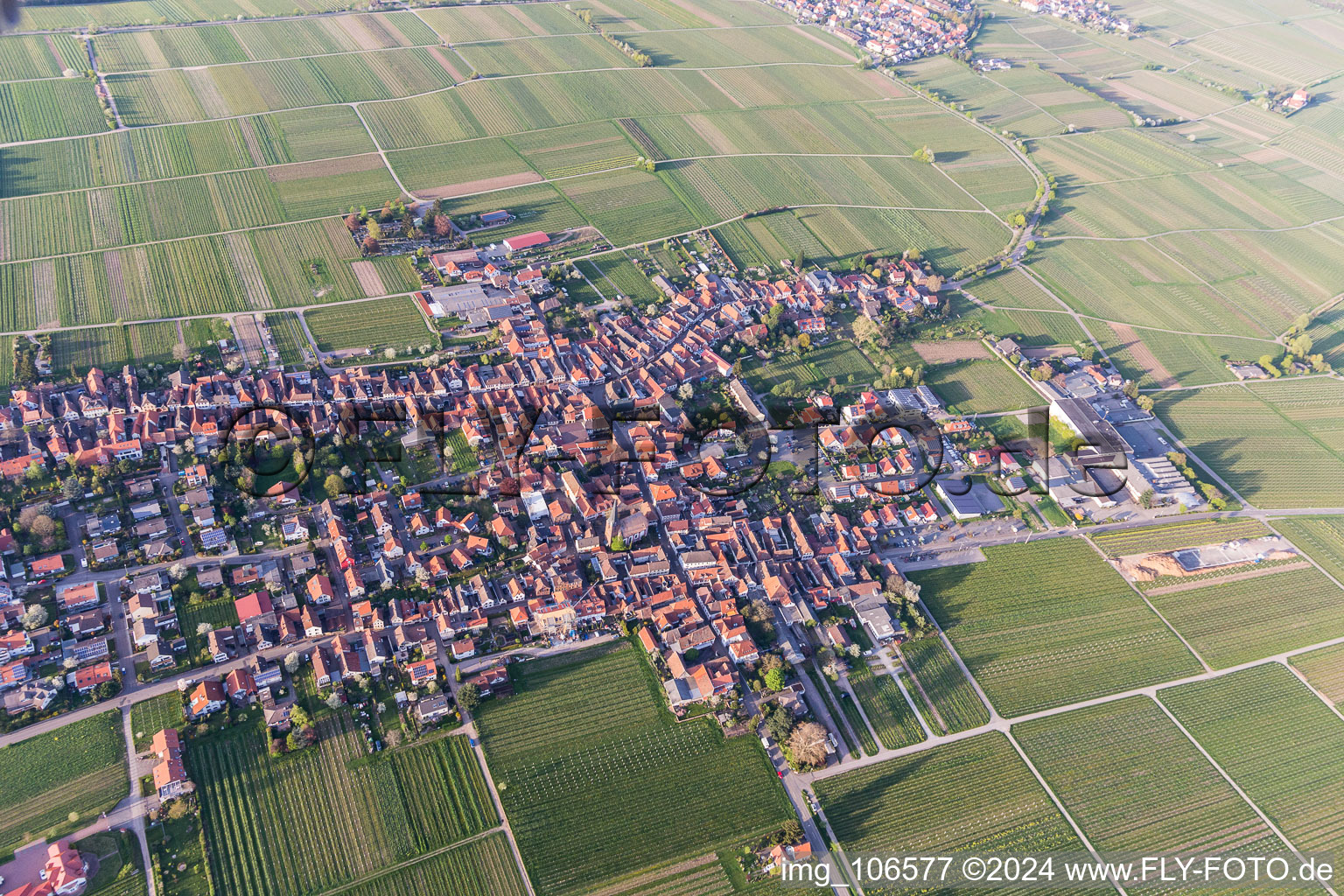 Rhodt unter Rietburg in the state Rhineland-Palatinate, Germany out of the air