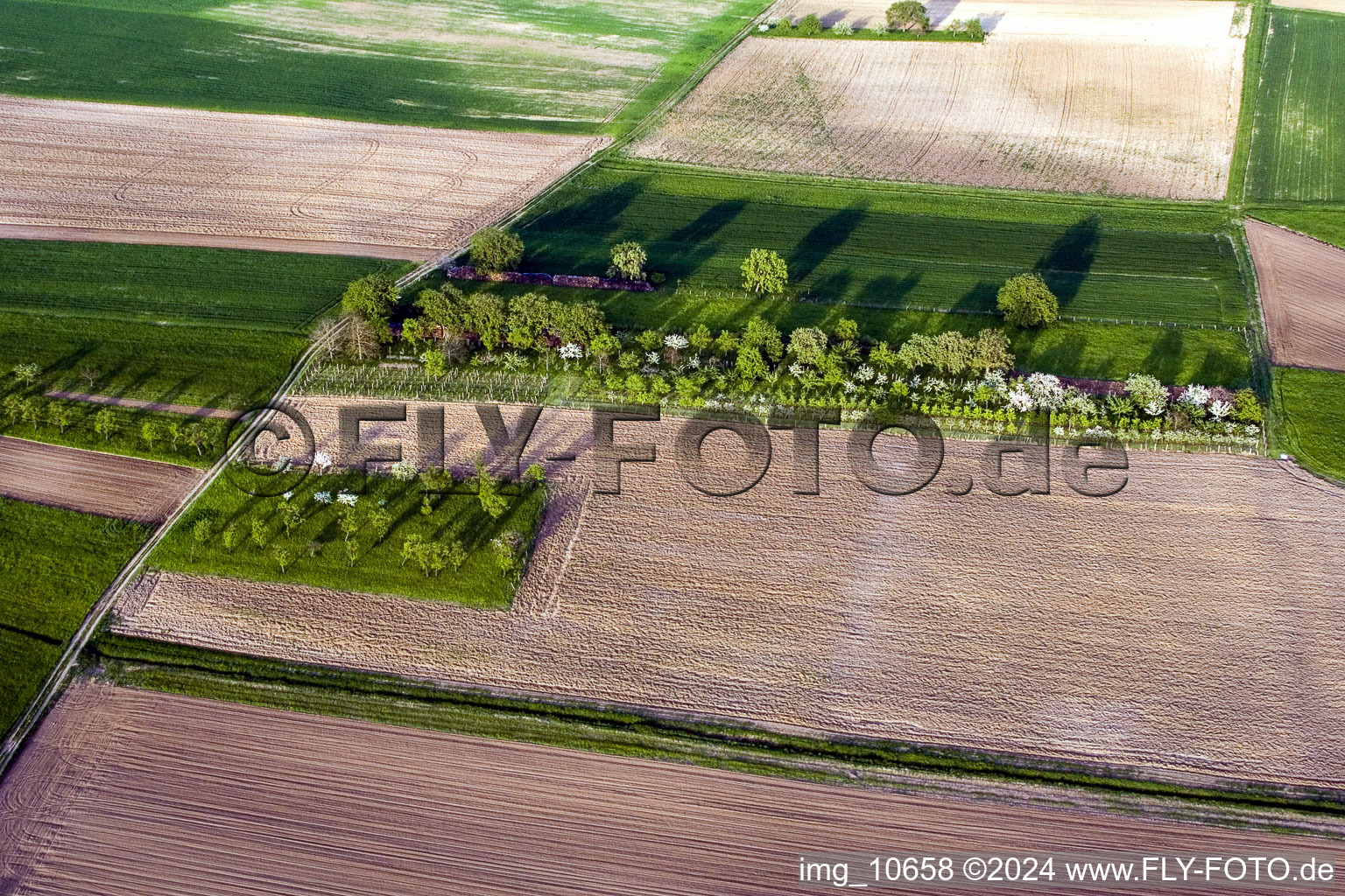 Aerial view of Surbourg in the state Bas-Rhin, France