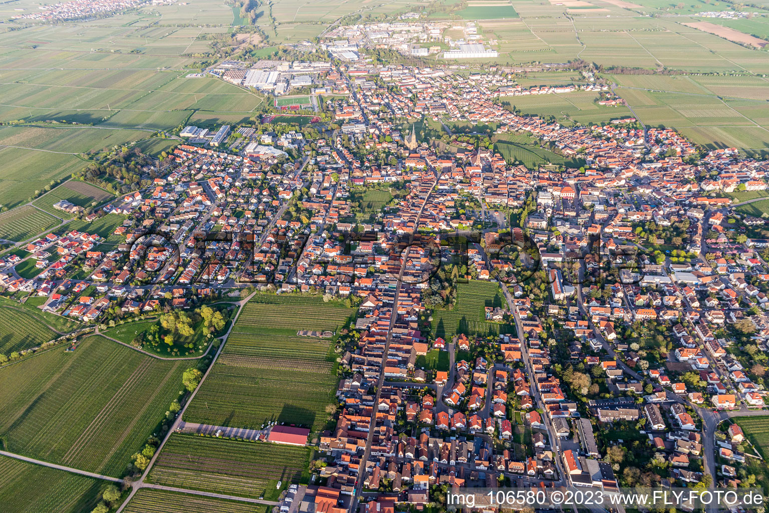 Edenkoben in the state Rhineland-Palatinate, Germany out of the air