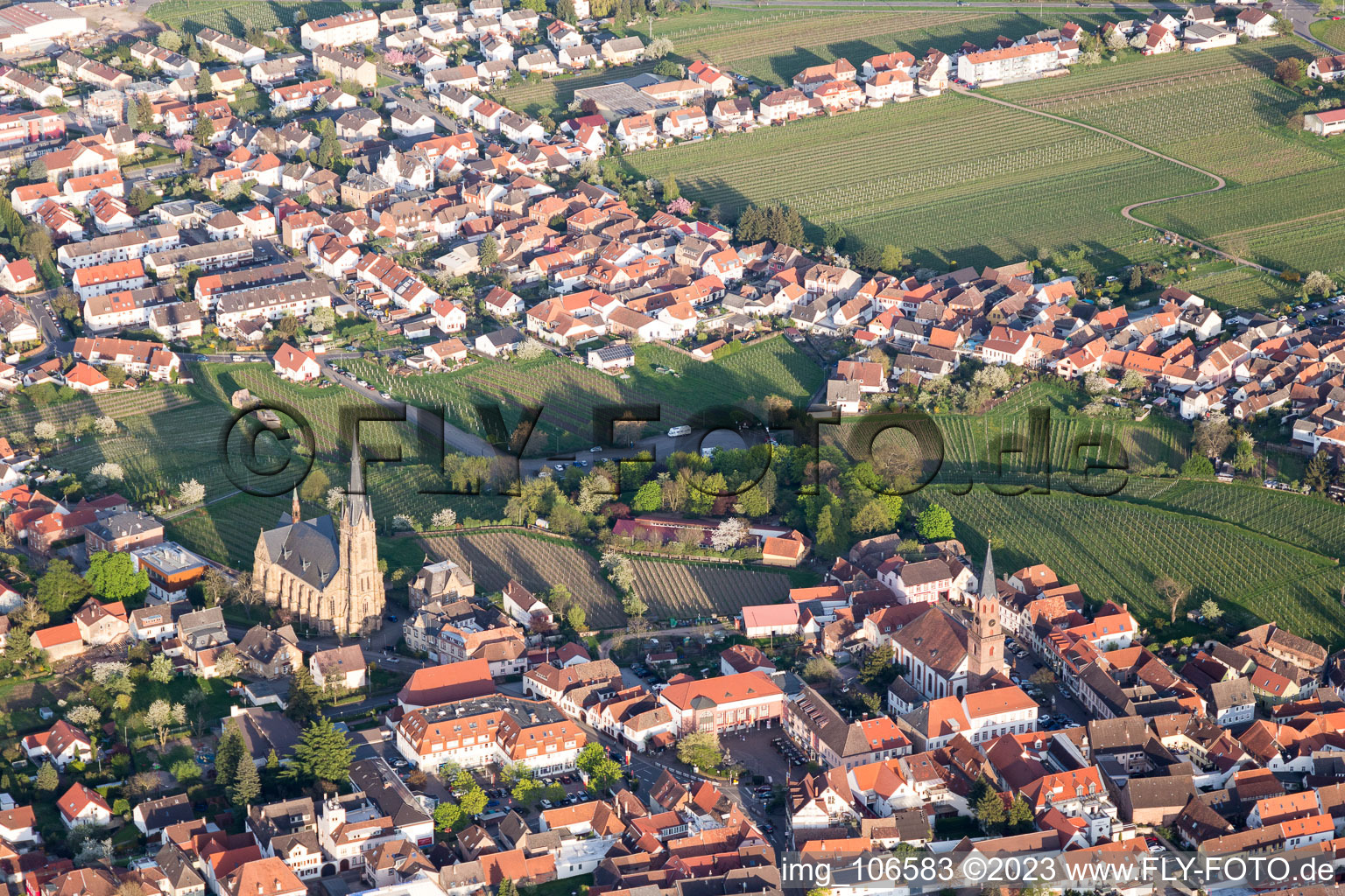 Edenkoben in the state Rhineland-Palatinate, Germany from the plane