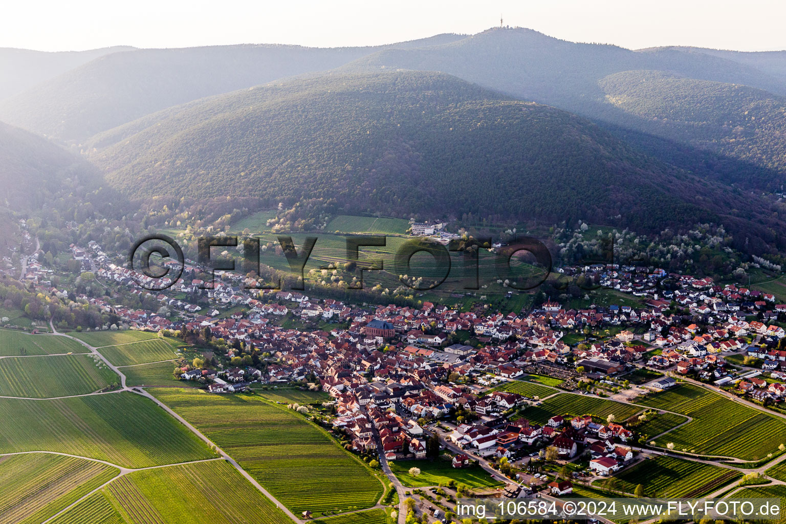 Oblique view of St. Martin in Sankt Martin in the state Rhineland-Palatinate, Germany