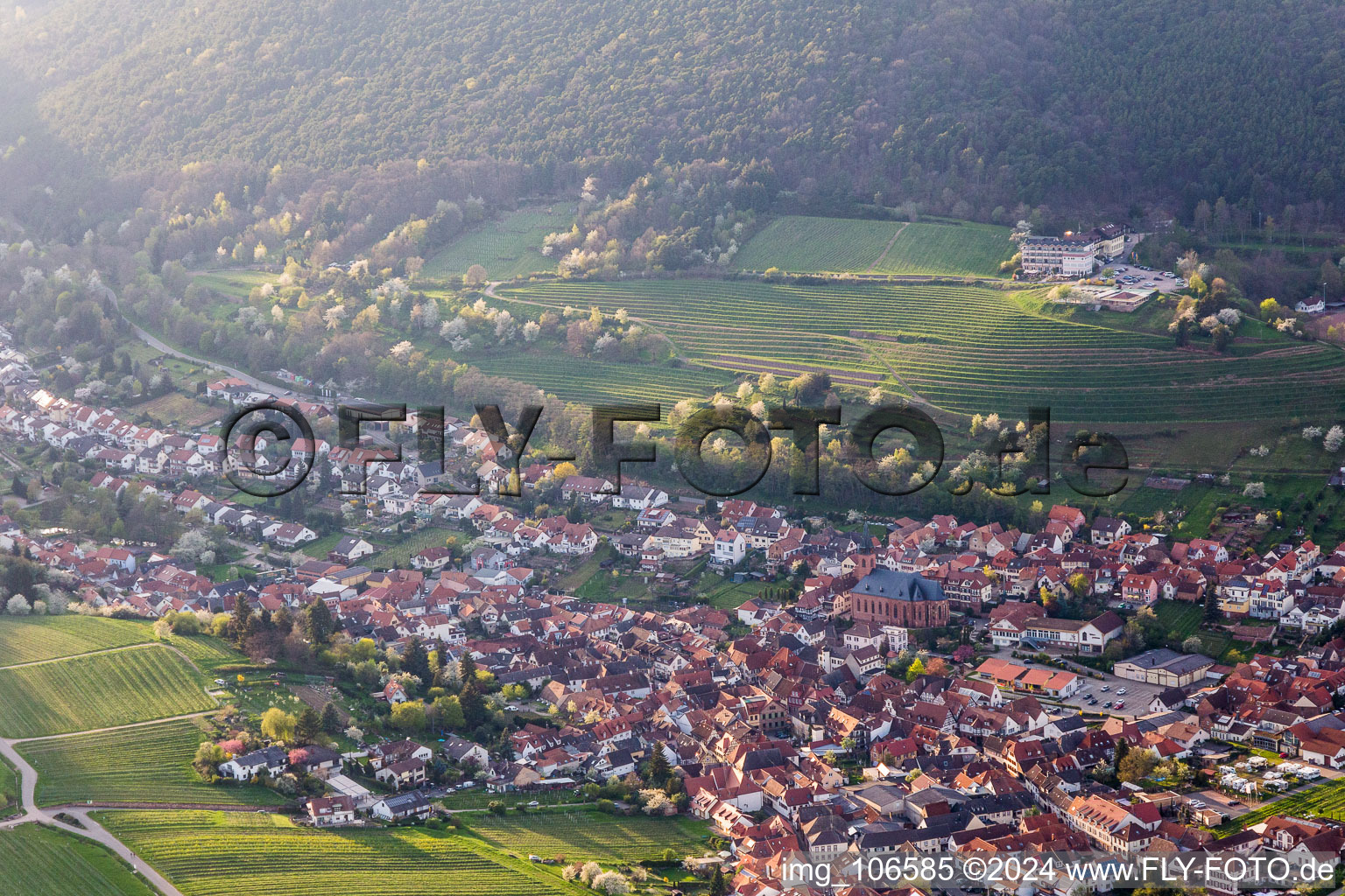 St. Martin in Sankt Martin in the state Rhineland-Palatinate, Germany from above