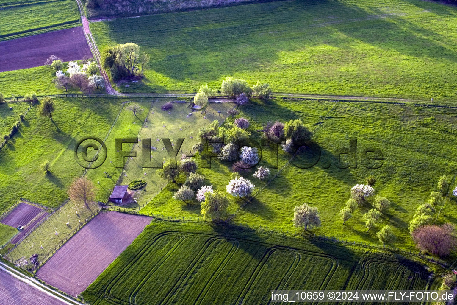 Aerial photograpy of Surbourg in the state Bas-Rhin, France