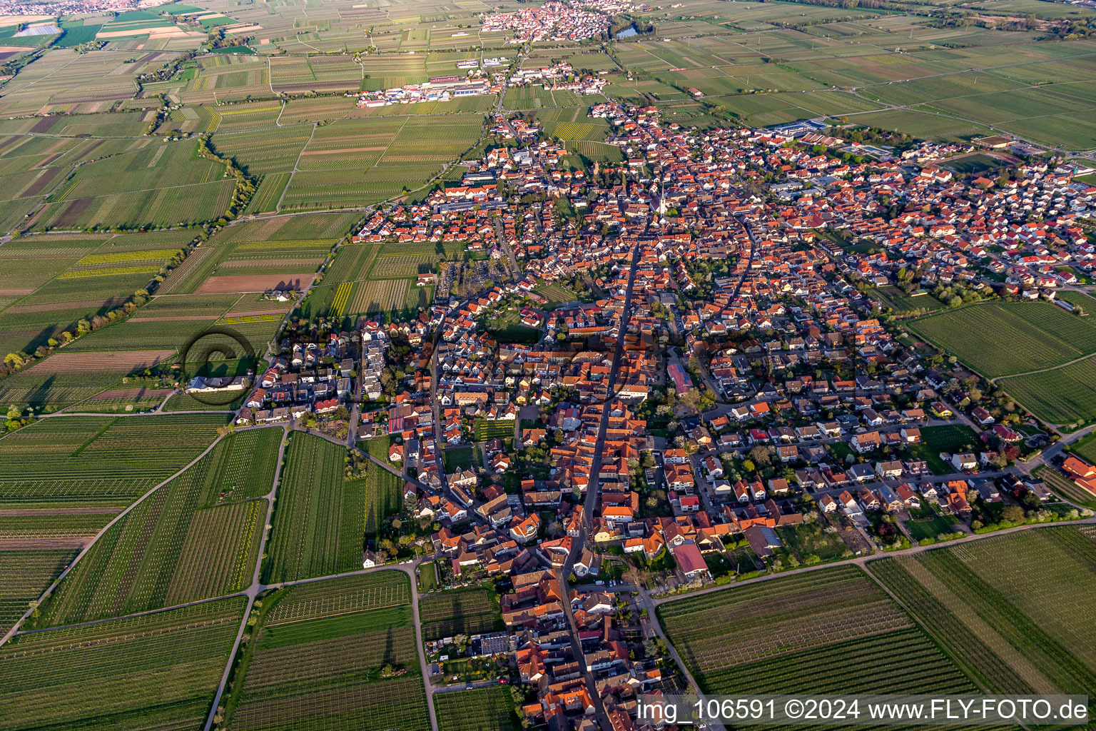 Maikammer in the state Rhineland-Palatinate, Germany viewn from the air