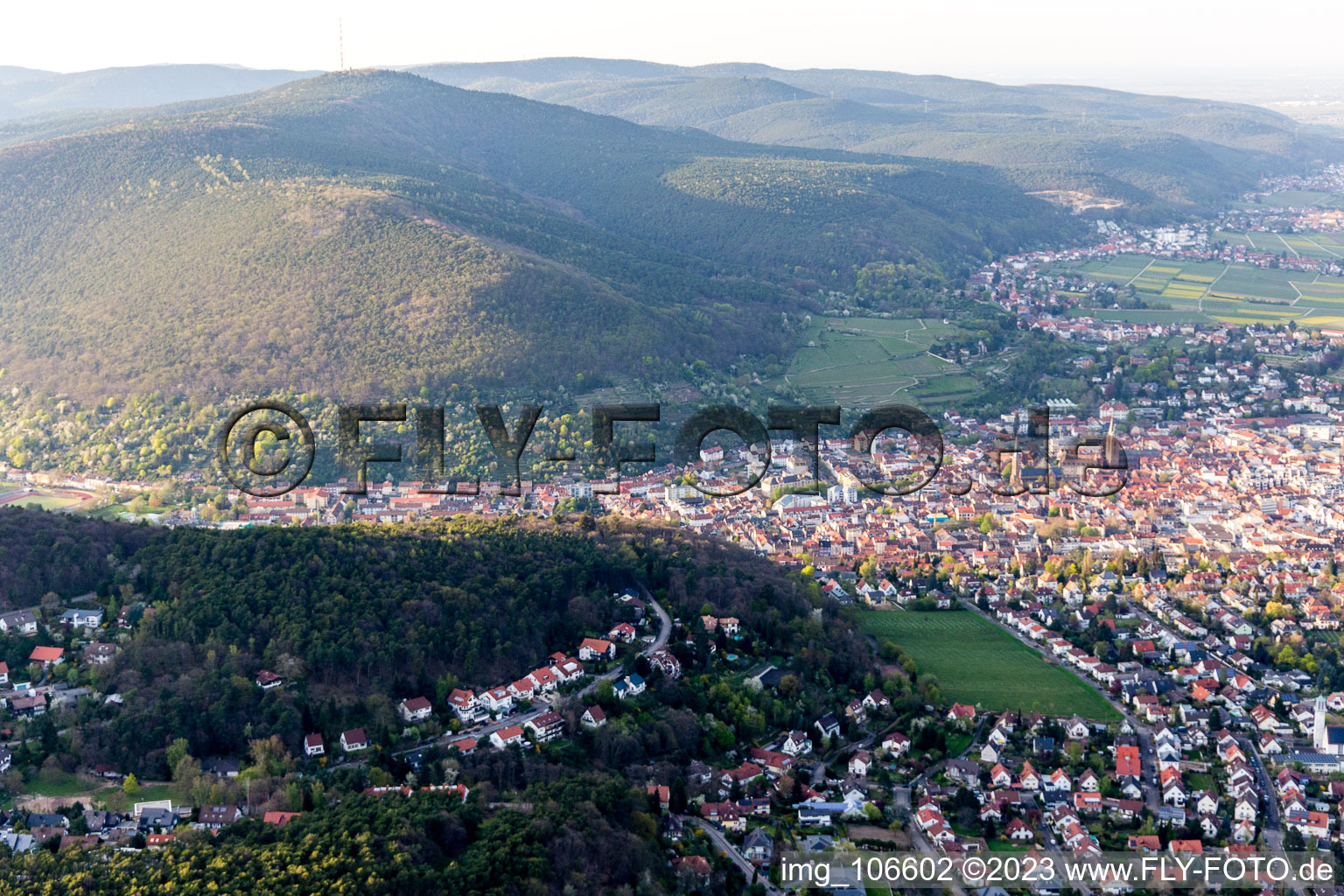 Neustadt an der Weinstraße in the state Rhineland-Palatinate, Germany viewn from the air