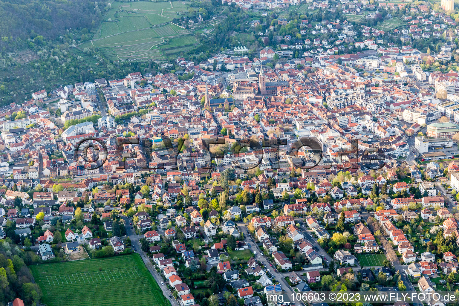 Drone recording of Neustadt an der Weinstraße in the state Rhineland-Palatinate, Germany