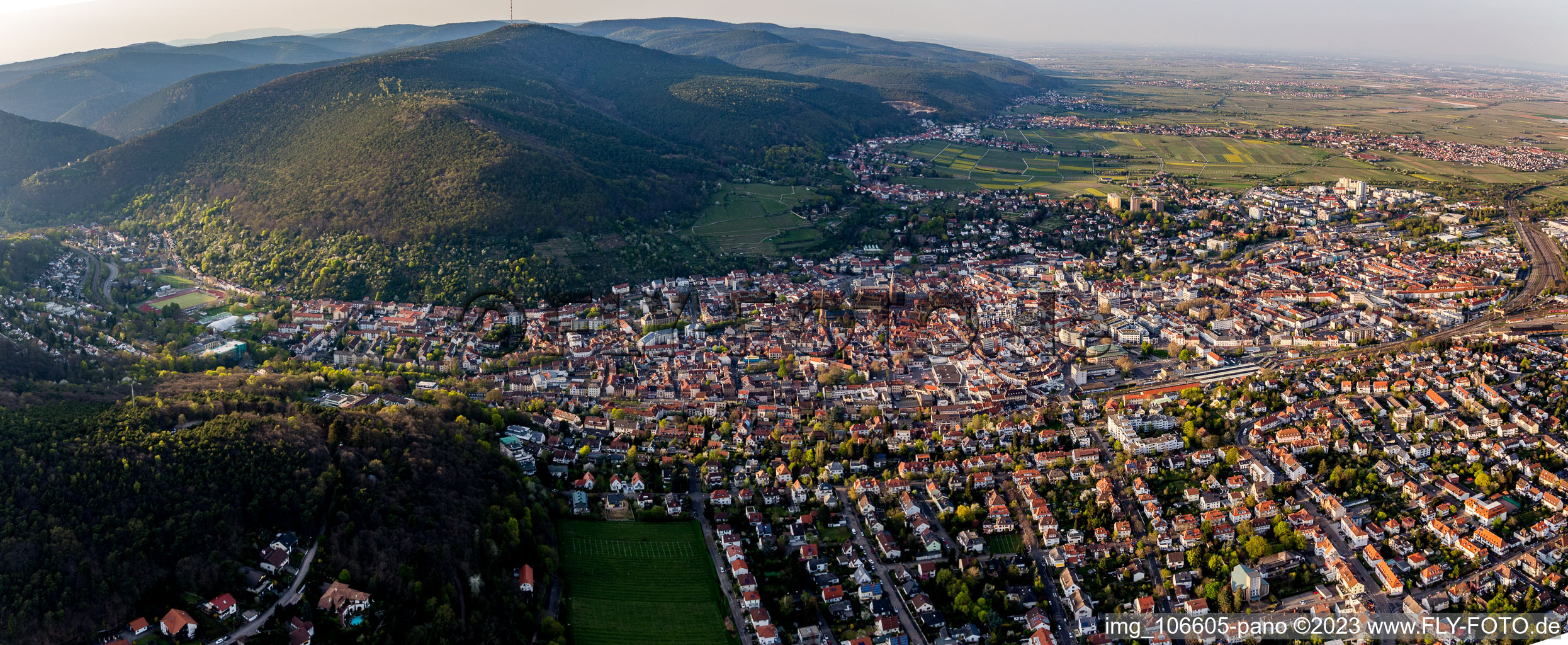 Neustadt an der Weinstraße in the state Rhineland-Palatinate, Germany from the drone perspective