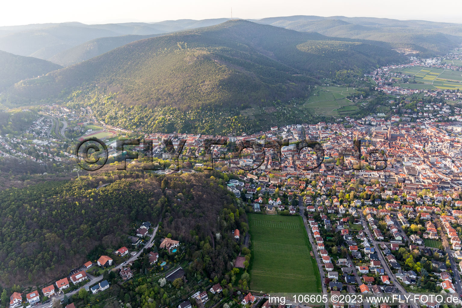 Neustadt an der Weinstraße in the state Rhineland-Palatinate, Germany from a drone