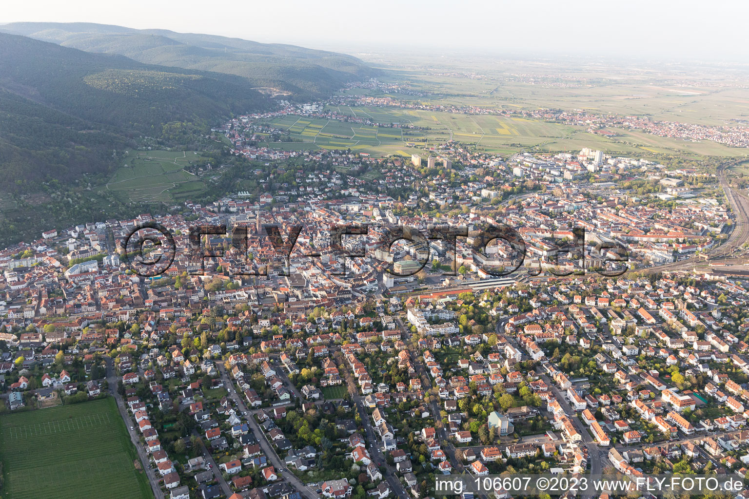 Aerial view of Neustadt an der Weinstraße in the state Rhineland-Palatinate, Germany