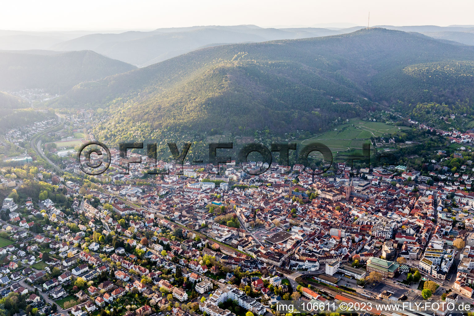 Aerial photograpy of Neustadt an der Weinstraße in the state Rhineland-Palatinate, Germany