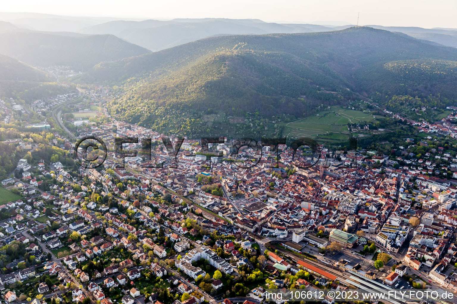 Oblique view of Neustadt an der Weinstraße in the state Rhineland-Palatinate, Germany