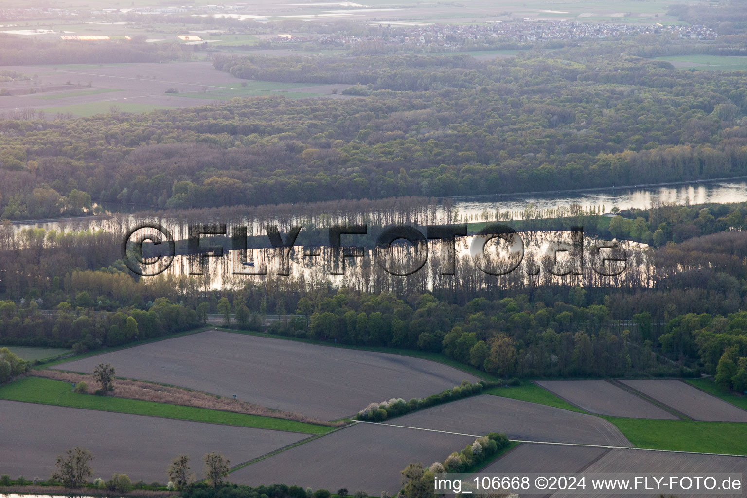 Rhine in the district Hochstetten in Linkenheim-Hochstetten in the state Baden-Wuerttemberg, Germany