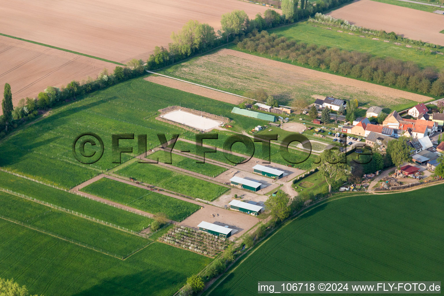 Bird's eye view of Großfischlingen in the state Rhineland-Palatinate, Germany