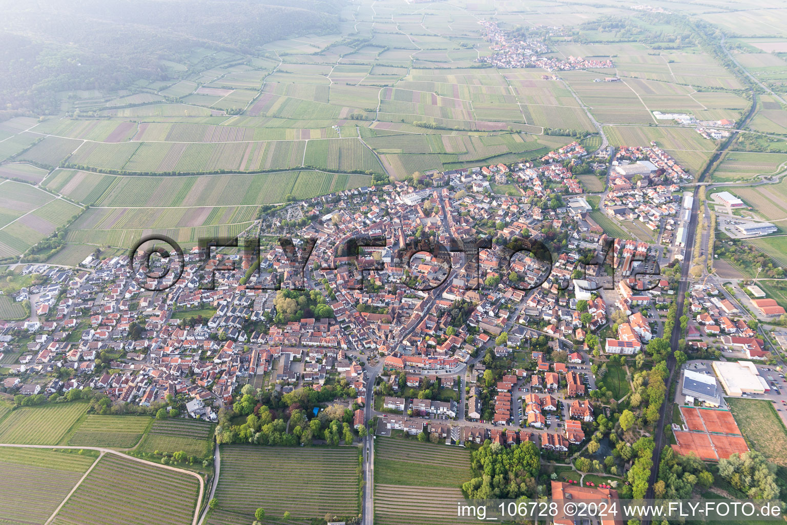 Aerial photograpy of Deidesheim in the state Rhineland-Palatinate, Germany