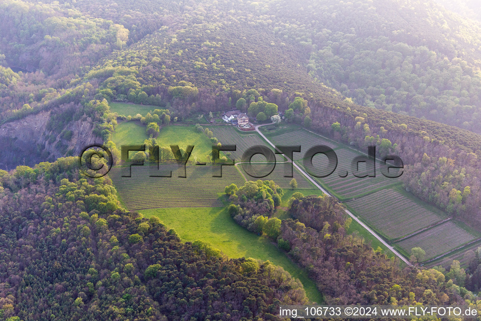 Odinstal Winery in Wachenheim an der Weinstraße in the state Rhineland-Palatinate, Germany