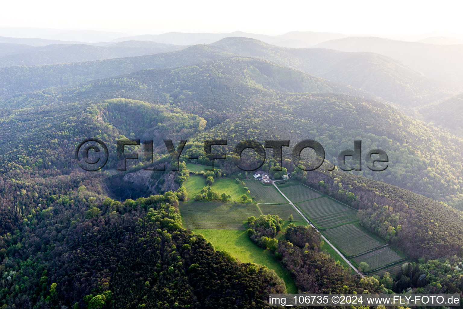 Aerial view of Odinstal Winery in Wachenheim an der Weinstraße in the state Rhineland-Palatinate, Germany