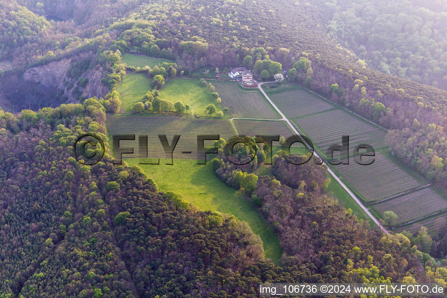 Aerial photograpy of Odinstal Winery in Wachenheim an der Weinstraße in the state Rhineland-Palatinate, Germany