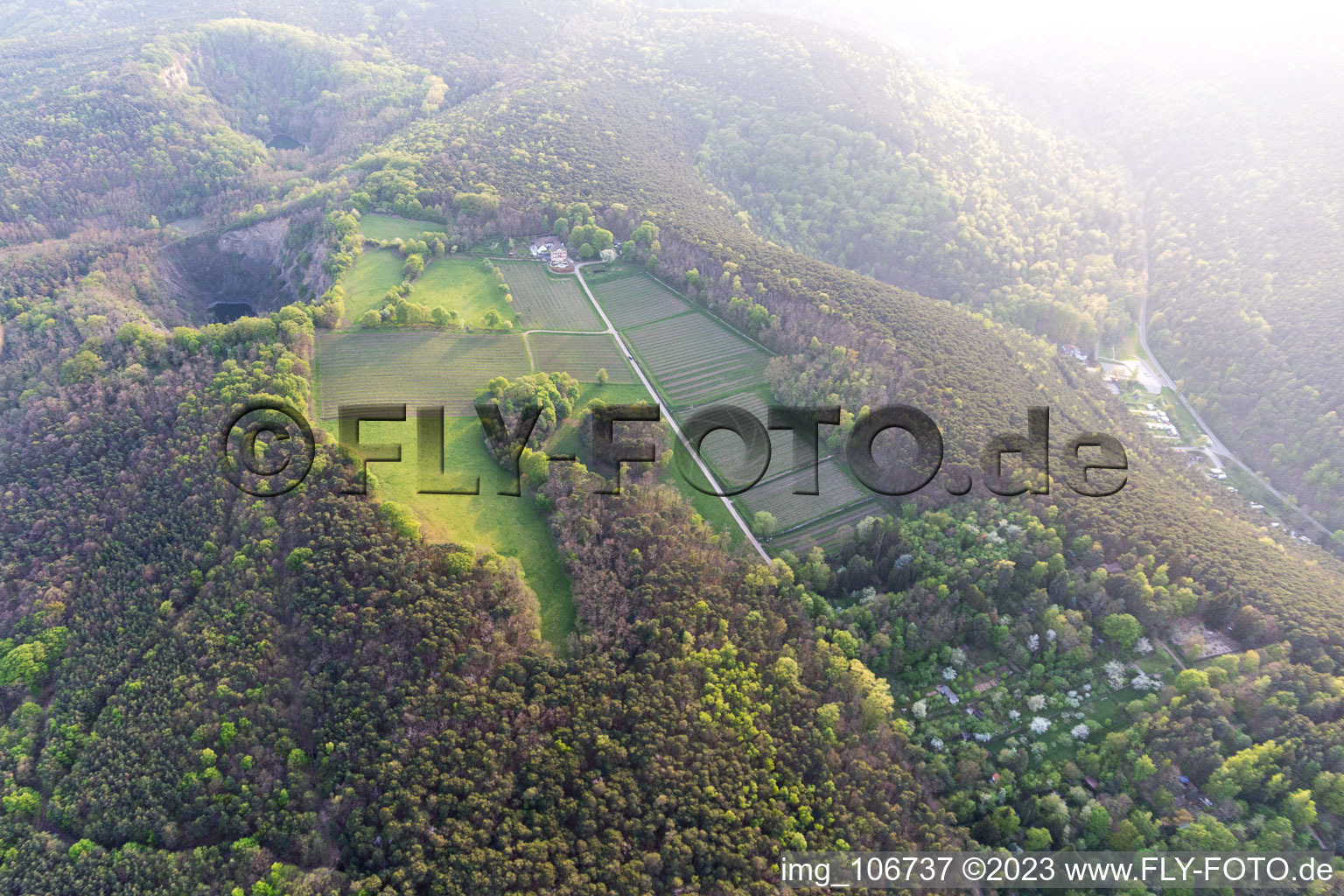 Aerial photograpy of Wachenheim an der Weinstraße in the state Rhineland-Palatinate, Germany