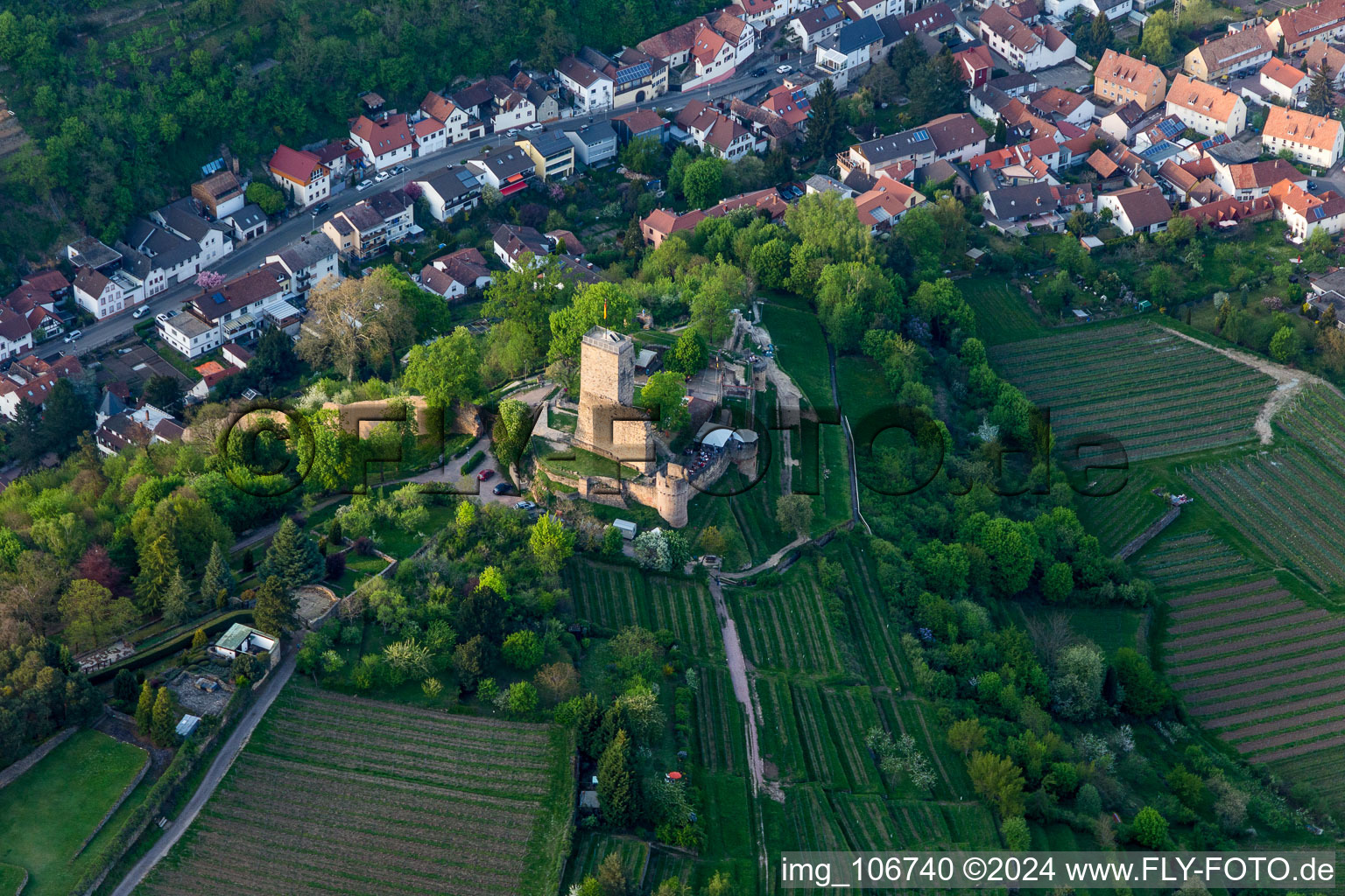 Ruins of the former fortress Wachtenburg ("Burg Wachenheim") in Wachenheim an der Weinstrasse in the state Rhineland-Palatinate, Germany