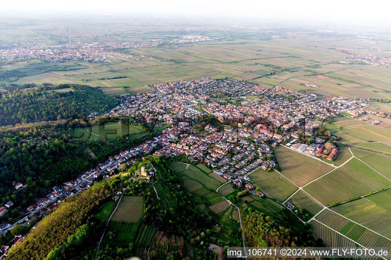 Aerial view of Wachtenburg (ruin “Wachenheim Castle”) in Wachenheim an der Weinstraße in the state Rhineland-Palatinate, Germany