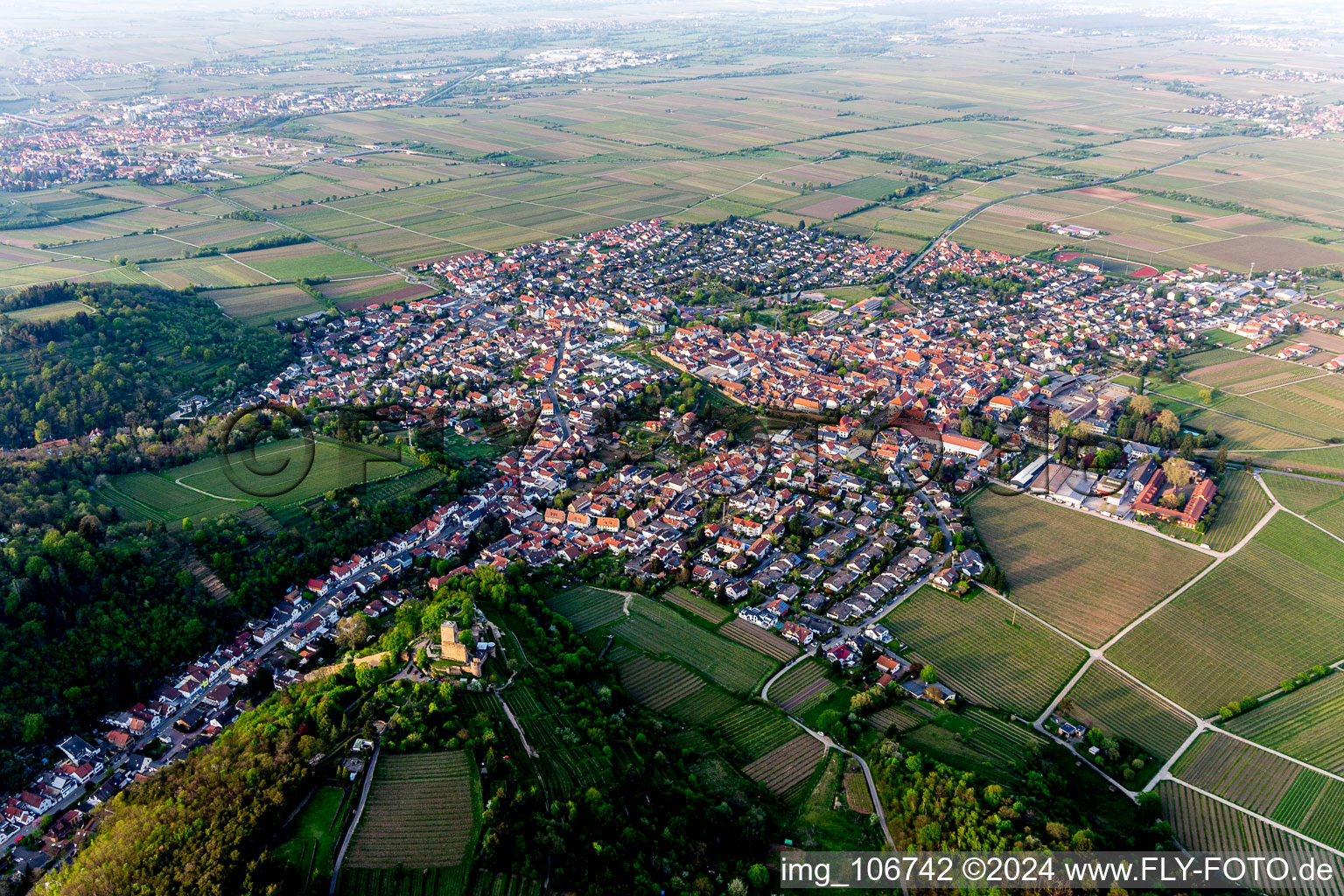 Oblique view of Wachenheim an der Weinstraße in the state Rhineland-Palatinate, Germany