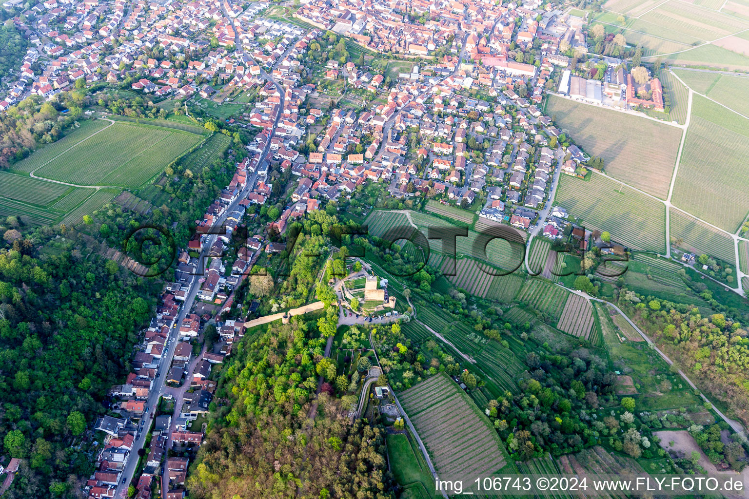 Aerial photograpy of Wachtenburg (ruin “Wachenheim Castle”) in Wachenheim an der Weinstraße in the state Rhineland-Palatinate, Germany