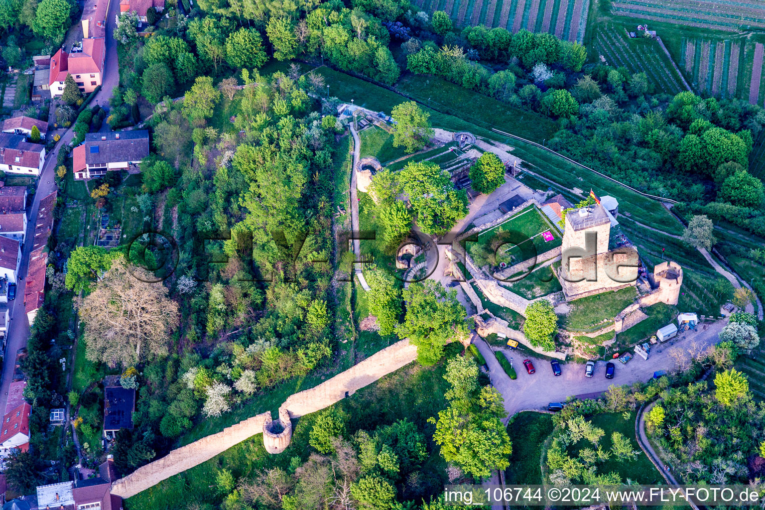 Oblique view of Wachtenburg (ruin “Wachenheim Castle”) in Wachenheim an der Weinstraße in the state Rhineland-Palatinate, Germany