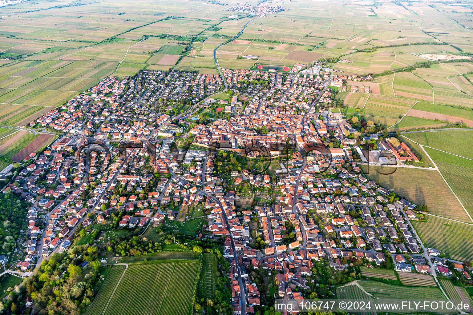 Village view on the edge of agricultural fields and land in Wachenheim an der Weinstrasse in the state Rhineland-Palatinate, Germany