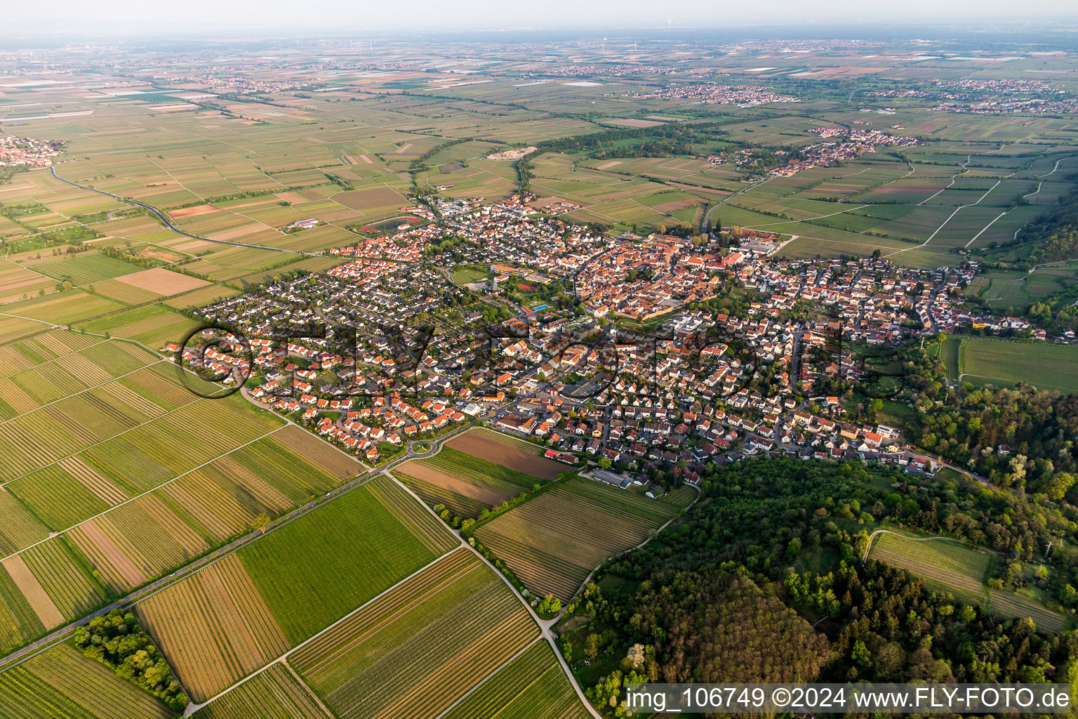 Aerial view of Village view on the edge of agricultural fields and land in Wachenheim an der Weinstrasse in the state Rhineland-Palatinate, Germany