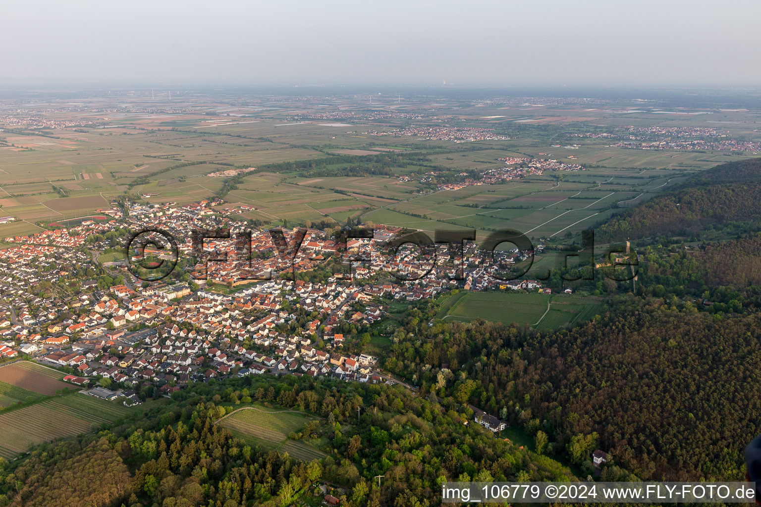 Wachenheim an der Weinstraße in the state Rhineland-Palatinate, Germany from above