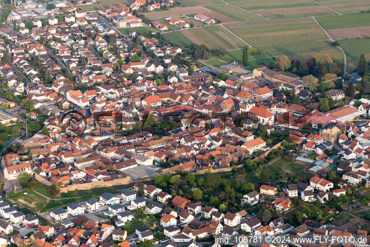 Wachenheim an der Weinstraße in the state Rhineland-Palatinate, Germany out of the air