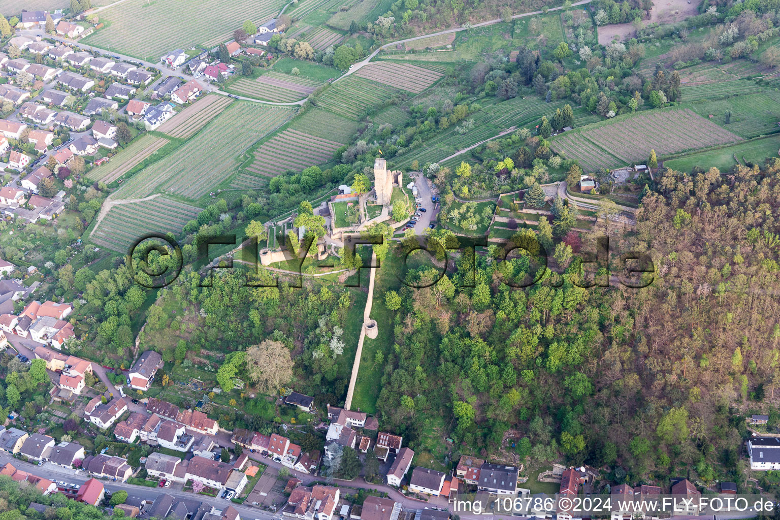 Wachtenburg (ruin “Wachenheim Castle”) in Wachenheim an der Weinstraße in the state Rhineland-Palatinate, Germany out of the air